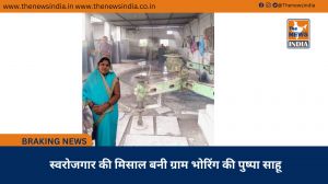 स्वरोजगार की मिसाल बनी ग्राम भोरिंग की पुष्पा साहू