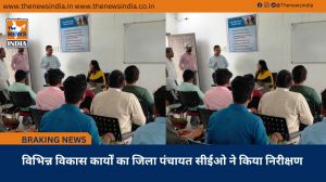 विभिन्न विकास कार्यों का जिला पंचायत सीईओ ने किया निरीक्षण