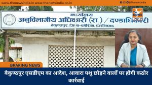 बैकुण्ठपुर एसडीएम का आदेश, आवारा पशु छोड़ने वालों पर होगी कठोर कार्रवाई