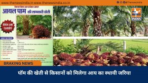 पॉम की खेती से किसानों को मिलेगा आय का स्थायी जरिया