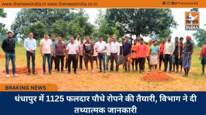 धंधापुर में 1125 फलदार पौधे रोपने की तैयारी, विभाग ने दी तथ्यात्मक जानकारी