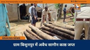 ग्राम बिशुनपुर में अवैध सागौन काष्ठ जप्त