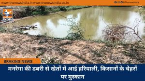 मनरेगा की डबरी से खेतों में आई हरियाली, किसानों के चेहरों पर मुस्कान