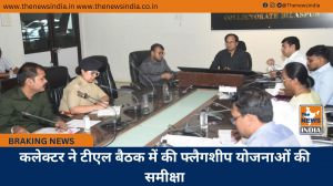 कलेक्टर ने टीएल बैठक में की फ्लैगशीप योजनाओं की समीक्षा