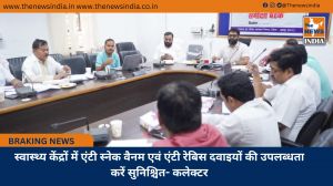 स्वास्थ्य केंद्रों में एंटी स्नेक वैनम एवं एंटी रेबिस दवाइयों की उपलब्धता करें सुनिश्चित- कलेक्टर