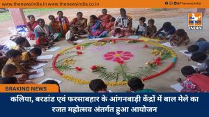 कलिया, बरडांड एवं फरसाबहार के आंगनबाड़ी केंद्रों में बाल मेले का रजत महोत्सव अंतर्गत हुआ आयोजन