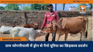 राज्य पोषित डेयरी उद्यमिता विकास योजना से सुखसागर आर्थिक रूप से हुआ मजबूत
