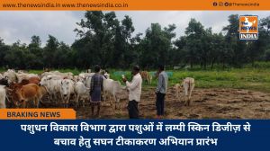 पशुधन विकास विभाग द्वारा पशुओं में लम्पी स्किन डिजीज़ से बचाव हेतु सघन टीकाकरण अभियान प्रारंभ