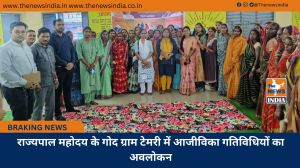 राज्यपाल महोदय के गोद ग्राम टेमरी में आजीविका गतिविधियों का अवलोकन