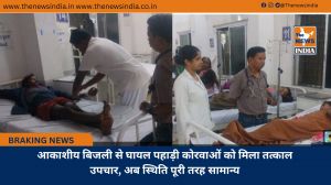 आकाशीय बिजली से घायल पहाड़ी कोरवाओं को मिला तत्काल उपचार, अब स्थिति पूरी तरह सामान्य