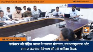 कलेक्टर श्री रोहित व्यास ने जनपद पंचायत, एनआरएलएम और समाज कल्याण विभाग की ली समीक्षा बैठक