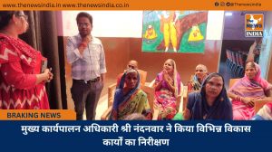 मुख्य कार्यपालन अधिकारी श्री नंदनवार ने किया विभिन्न विकास कार्यों का निरीक्षण