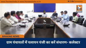 ग्राम पंचायतों में पलायन पंजी का करें संधारण- कलेक्टर