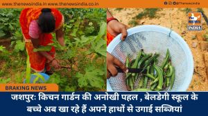 जशपुरः किचन गार्डन की अनोखी पहल , बेलडेगी स्कूल के बच्चे अब खा रहे हैं अपने हाथों से उगाई सब्जियां