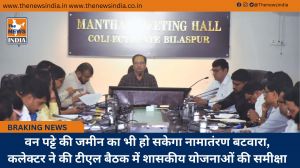 वन पट्टे की जमीन का भी हो सकेगा नामातंरण बटवारा, कलेक्टर ने की टीएल बैठक में शासकीय योजनाओं की समीक्षा