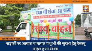 सड़कों पर आवारा व घायल पशुओं की सुरक्षा हेतु रेस्क्यू वाहन हुआ रवाना