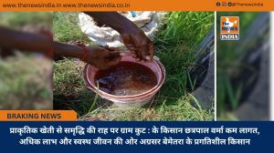 प्राकृतिक खेती से समृद्धि की राह पर ग्राम कुट : के किसान छत्रपाल वर्मा कम लागत, अधिक लाभ और स्वस्थ जीवन की ओर अग्रसर बेमेतरा के प्रगतिशील किसान