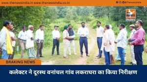 कलेक्टर ने दूरस्थ वनांचल गांव लकराघरा का किया निरीक्षण