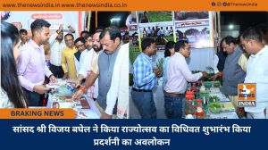 सांसद श्री विजय बघेल ने किया राज्योत्सव का विधिवत शुभारंभ किया प्रदर्शनी का अवलोकन