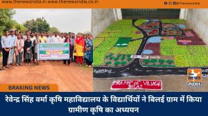 रेवेन्द्र सिंह वर्मा कृषि महाविद्यालय के विद्यार्थियों ने बिलई ग्राम में किया ग्रामीण कृषि का अध्ययन