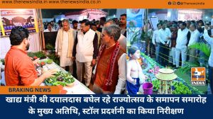 खाद्य मंत्री श्री दयालदास बघेल रहे राज्योत्सव के समापन समारोह के मुख्य अतिथि, स्टॉल प्रदर्शनी का किया निरीक्षण
