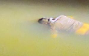 CG – हाईकोर्ट एडवोकेट की अरपा नदी में तैरती मिली लाश, हत्या या फिर…. इलाके में फैली सनसनी, पुलिस जांच में जुटी…..