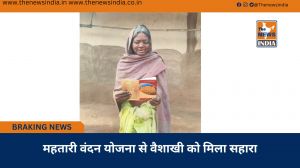 महतारी वंदन योजना से वैशाखी को मिला सहारा