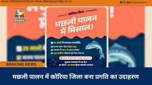 मछली पालन में कोरिया जिला बना प्रगति का उदाहरण