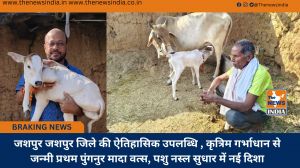 जशपुर जशपुर जिले की ऐतिहासिक उपलब्धि , कृत्रिम गर्भाधान से जन्मी प्रथम पुंगनुर मादा वत्स, पशु नस्ल सुधार में नई दिशा