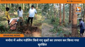 मनोरा में अवैध गर्डलिंग किये गए वृक्षों का उपचार कर किया गया सुरक्षित
