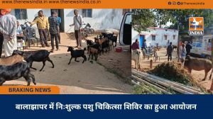 बालाझापर में निःशुल्क पशु चिकित्सा शिविर का हुआ आयोजन