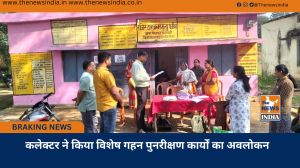 कलेक्टर ने किया विशेष गहन पुनरीक्षण कार्यों का अवलोकन