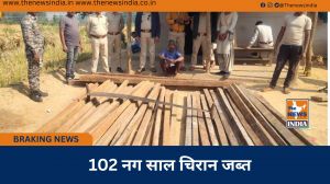 102 नग साल चिरान जब्त