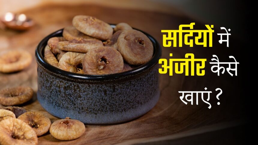 सर्दियों में क्यों बढ़ जाती है अंजीर की डिमांड? डॉक्टर ने बताया सेहत का असली ‘विंटर फॉर्मूला’ सर्दियों में क्यों बढ़ जाती है अंजीर की डिमांड? डॉक्टर ने बताया सेहत का असली ‘विंटर फॉर्मूला’