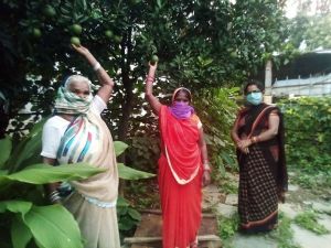  कुपोषण दूर करने के लिए खुद ही बना दी पोषण वाटिका