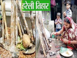  हरियाली के साथ स्वस्थ्य तन व मन का प्रतीक है हरेली पर्व