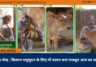 विशेष लेख : किसान मधुसूदन के लिए गौ पालन बना मजबूत आय का साधन