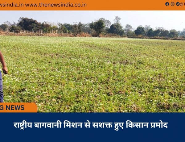 राष्ट्रीय बागवानी मिशन से सशक्त हुए किसान प्रमोद