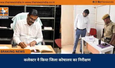 कलेक्टर ने किया जिला कोषालय का निरीक्षण