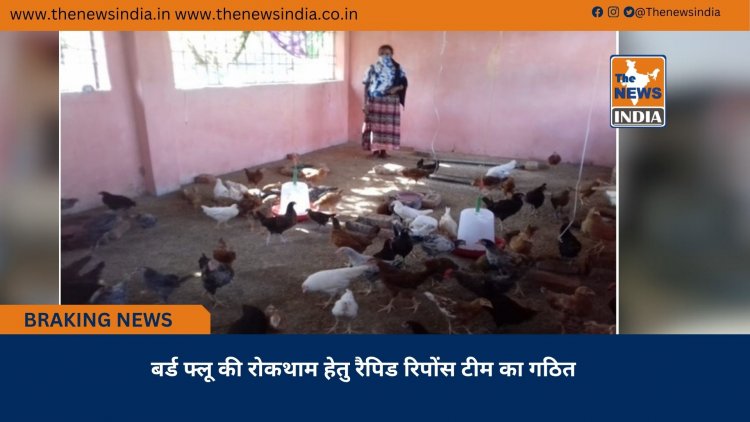 बर्ड फ्लू की रोकथाम हेतु रैपिड रिपोंस टीम का गठित