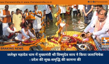 जलेश्वर महादेव धाम में मुख्यमंत्री श्री विष्णुदेव साय ने किया जलाभिषेक: प्रदेश की सुख-समृद्धि की कामना की
