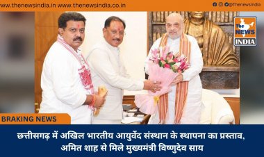 छत्तीसगढ़ में अखिल भारतीय आयुर्वेद संस्थान के स्थापना का प्रस्ताव, अमित शाह से मिले मुख्यमंत्री विष्णुदेव साय