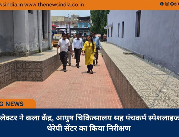 कलेक्टर ने कला केंद्र, आयुष चिकित्सालय सह पंचकर्म स्पेशलाइज्ड थेरेपी सेंटर का किया निरीक्षण