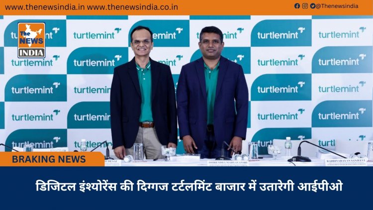 डिजिटल इंश्योरेंस की दिग्गज टर्टलमिंट बाजार में उतारेगी आईपीओ