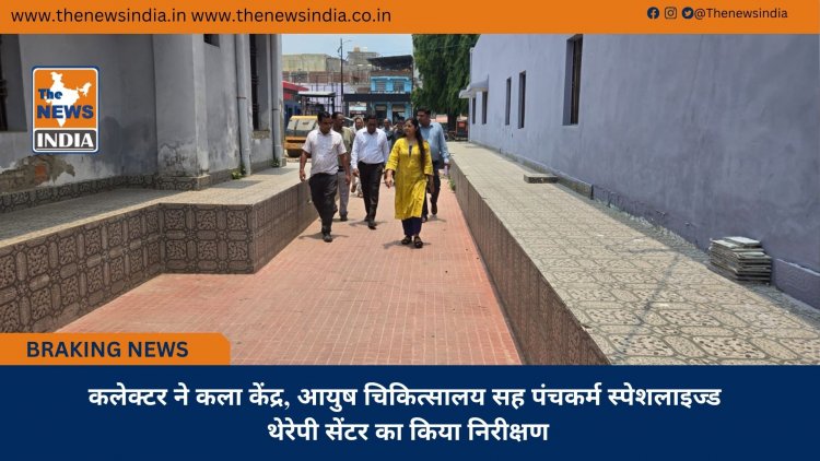 कलेक्टर ने कला केंद्र, आयुष चिकित्सालय सह पंचकर्म स्पेशलाइज्ड थेरेपी सेंटर का किया निरीक्षण