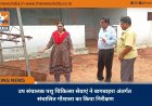 उप संचालक पशु चिकित्सा सेवाएं ने बागबाहरा अंतर्गत संचालित गौशाला का किया निरीक्षण
