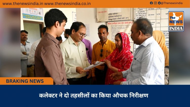 कलेक्टर ने दो तहसीलों का किया औचक निरीक्षण