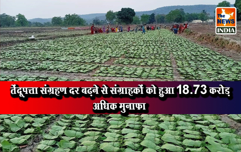 तेंदूपत्ता संग्रहण दर बढ़ने से संग्राहकों को हुआ 18.73 करोड़ अधिक मुनाफा तेंदूपत्ता संग्रहण दर बढ़ने से संग्राहकों को हुआ 18.73 करोड़ अधिक मुनाफा
