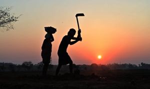 ये छत्तीसगढ़ राज्य में ही संभव  हो सकता है  जहा  धूप तेज होने से पहले ही  , मनरेगा में काम करने वाले  काम खत्म कर घर लौट आने का सुकून लेते है  