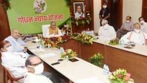 गोधन न्याय योजन से बारहों महीने मिलेगा रोजगार : मुख्यमंत्री भूपेश बघेल गोधन न्याय योजन से बारहों महीने मिलेगा रोजगार : मुख्यमंत्री भूपेश बघेल